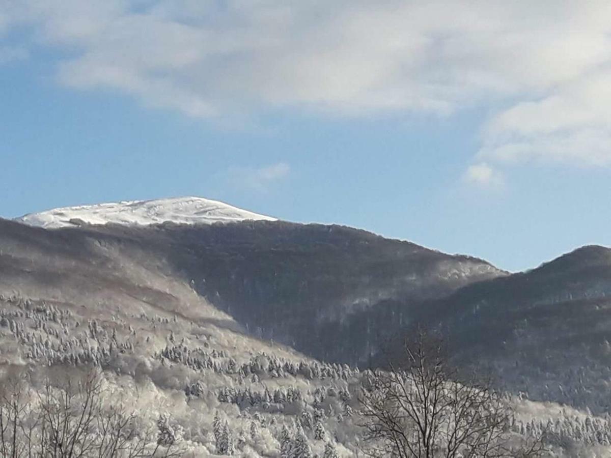 Mala Chatka Villa Wetlina Dış mekan fotoğraf