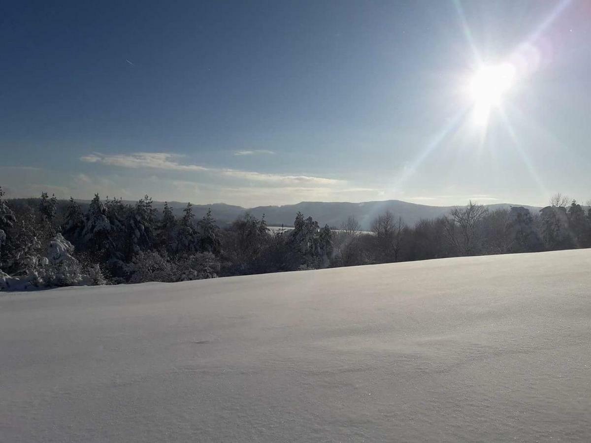 Mala Chatka Villa Wetlina Dış mekan fotoğraf